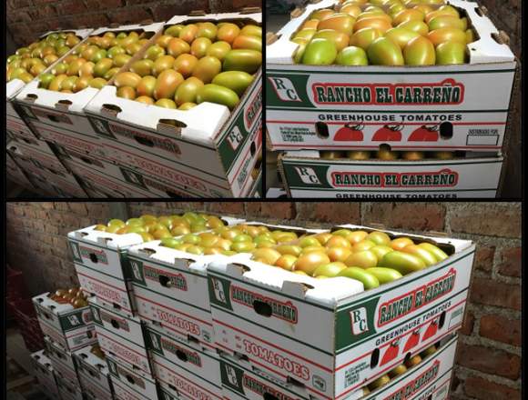 VENTA DE JITOMATE Y PEPINO DE INVERNADERO en Aguascalientes (Municipio)