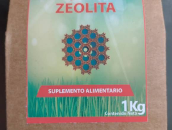 Zeolita Micronizada Clinoptilolita 1 Kg en Ñuñoa (Comuna)