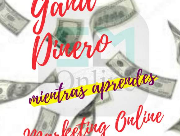 Genera ingresos mientras aprendes Marketing Online en Miranda (Municipio)