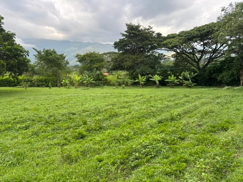 GRANJA EN AGUIRRE en Valencia (Municipio)