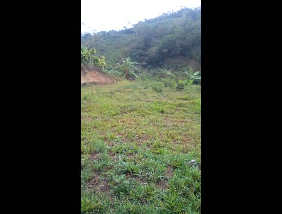 Finca en La Esmeralda de Coto Brus, urge vender en Coto Brus (Cantón)