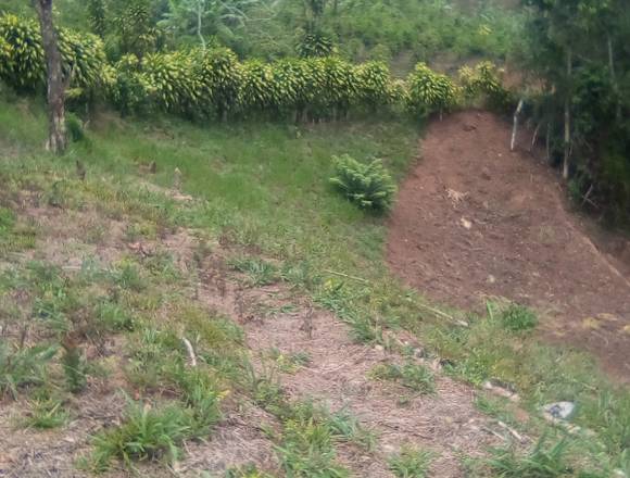 Finca en La Esmeralda de Coto Brus, urge vender en Coto Brus (Cantón)