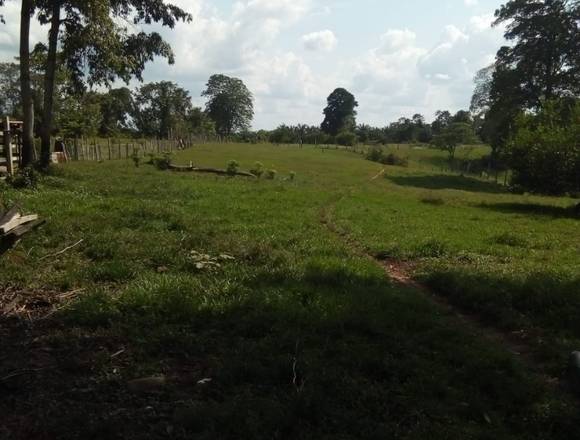 Vendo finca en la en san Vicente de chucuri en San Vicente de Chucurí (Municipio)