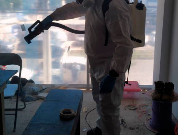 Fumigación y control de plagas en Temuco (Comuna)