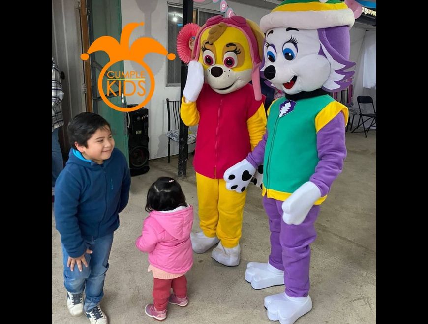 Tu fiesta con Paw Patrol será inolvidable en Lo Barnechea (Comuna)