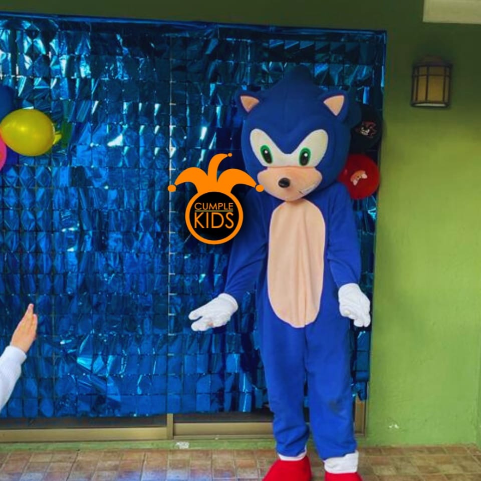 ¡Sonic y Amy Rose para tu fiesta de cumpleaños!