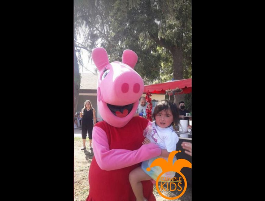 Arriendo de corporeo de la maravillosa Peppa Pig en Cerro Navia (Comuna)