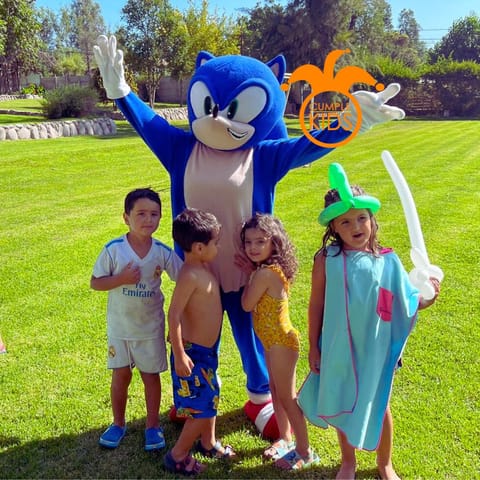 Diversión infantil con Sonic y Amy Rose !! en Independencia (Comuna)