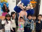Arriendo corporeo del mas veloz, SONIC! en Cerro Navia (Comuna)