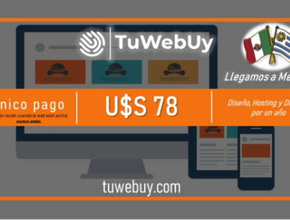 Diseño Web - Hosting - Dominio-EL PRECIO MÁS BAJO en Teloloapan (Municipio)