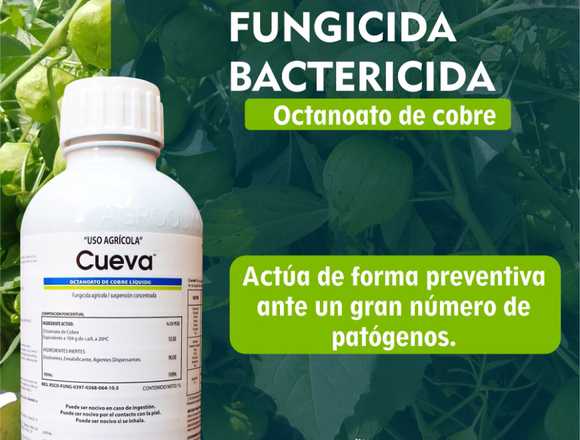 CUEVA (producto para el campo) en Guadalajara (Municipio)