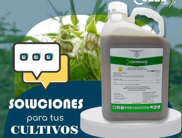 SERENADE ASO (producto para el campo) en Guadalajara (Municipio)