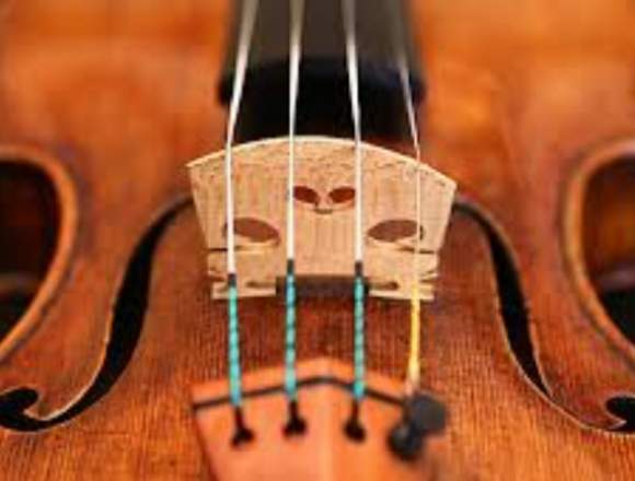 Clases de violín online en Puerto Santander (Municipio)