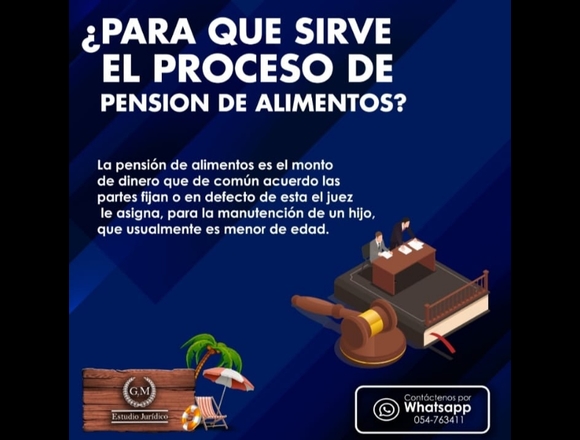 ABOGADOS- campaña Pensión De Alimentos