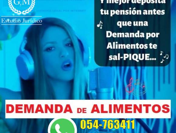 abogados familia, proceso alimentos en Arequipa (Distrito)
