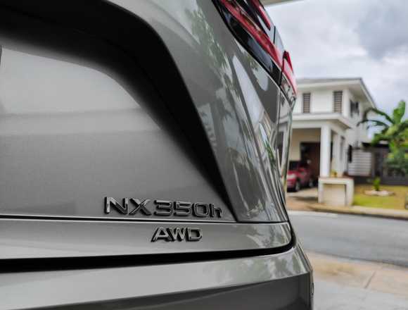 Detailing Móvil en Panamá Ceramic coating en Tolé (Distrito)
