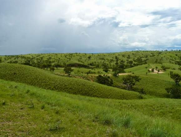 Lote de Terreno, dos potreros, laguna y quebradas en Ortíz (Municipio)