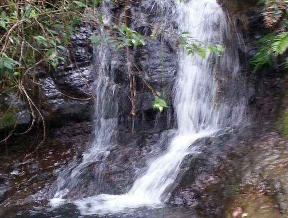 Finca en venta ubicada en coromoro, santander