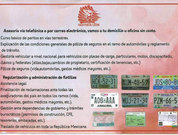 GESTORÍA LEÓN TOLUCA