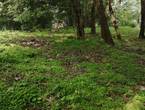 Venta de Terreno en Chicá de Chame en Chame (Distrito)