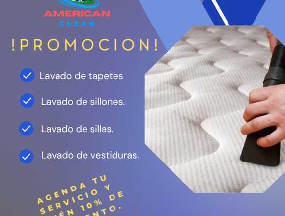Lavado de tapetes, sillones, sillas, vestiduras. en Coyoacán (Municipio)