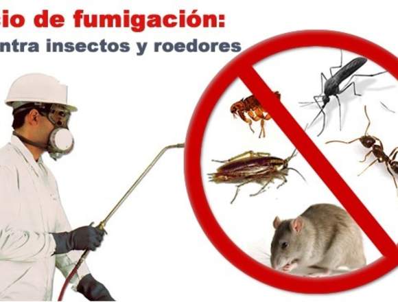 Desratizacion Y Fumigacion, Control de Plagas‎ en Santiago (Comuna)
