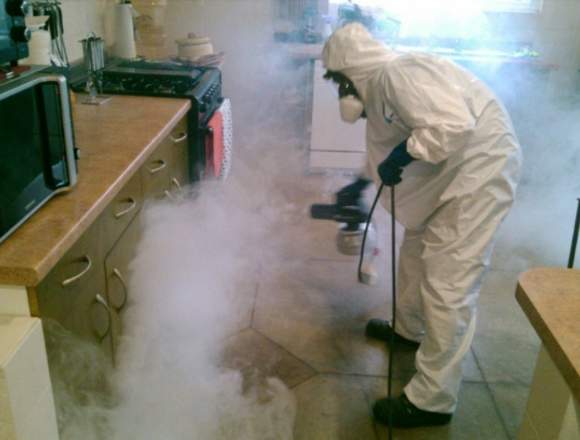 Fumigaciones Melgar control de plagas Melgar en Lérida (Municipio)