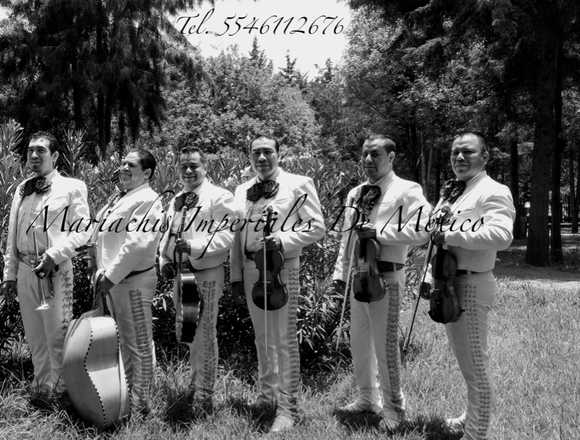 mariachis en Coacalco Estado de Mexico telefono