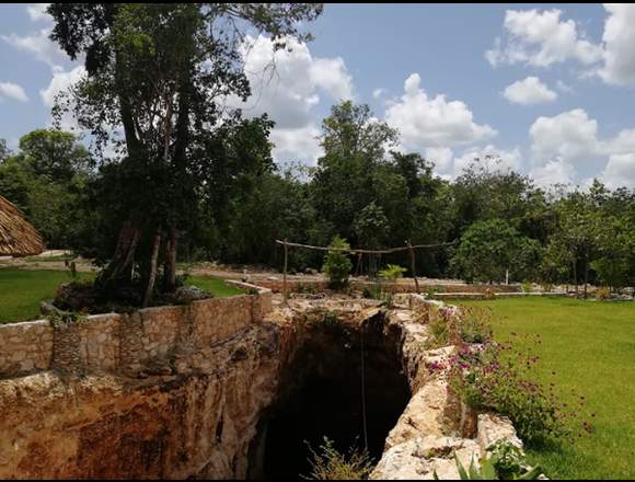 Terrenos con cenote y luz