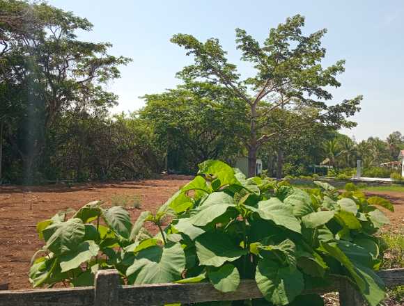Se vende bonita propiedad en Las Veraneras