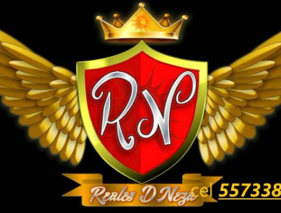 Grupo Musical Norteño Los Reales de Neza