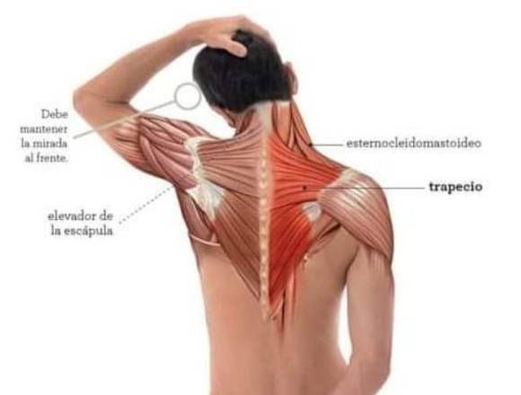 BIENESTAR TERAPIAS ALTERNATIVAS en Cajamarca (Distrito)