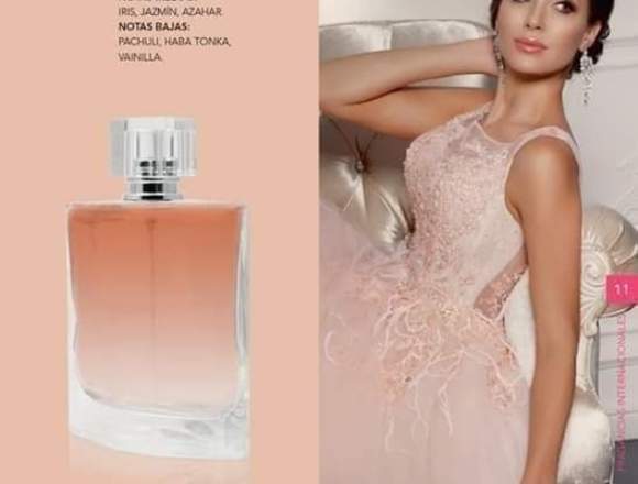 Venta de Perfumes por mayor.