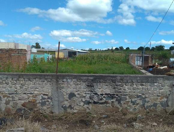 Terreno en Capilla de Milpillas en Tepatitlán de Morelos (Municipio)
