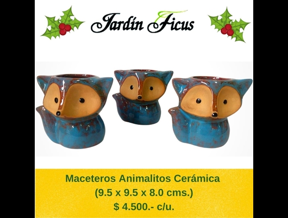 JARDIN FICUS MACETEROS CERÁMICA FORMA ANIMALITOS en Quilpué (Comuna)