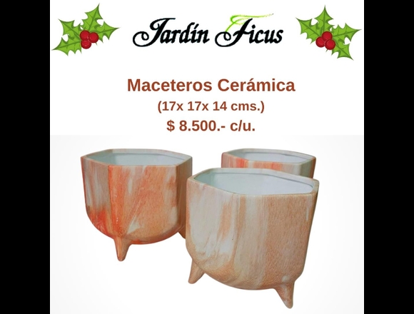JARDIN FICUS OFRECE HERMOSAS MACETEROS DE CERÁMICA en Quilpué (Comuna)