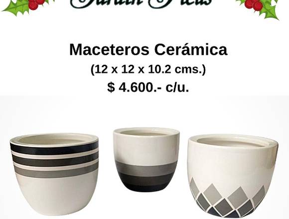 JARDIN FICUS OFRECE HERMOSAS MACETEROS DE CERÁMICA en Quilpué (Comuna)