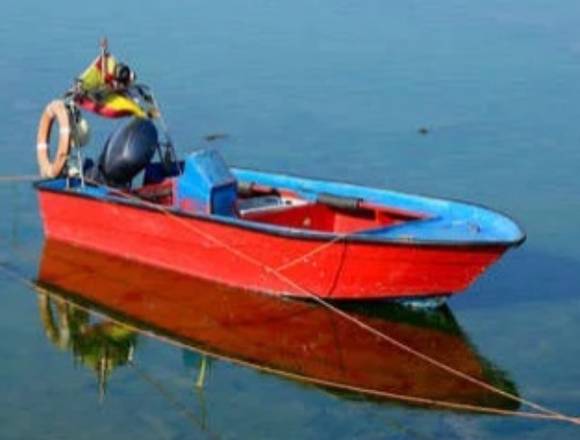 Se vende Lancha para pesca artesanal en San Carlos (Distrito)