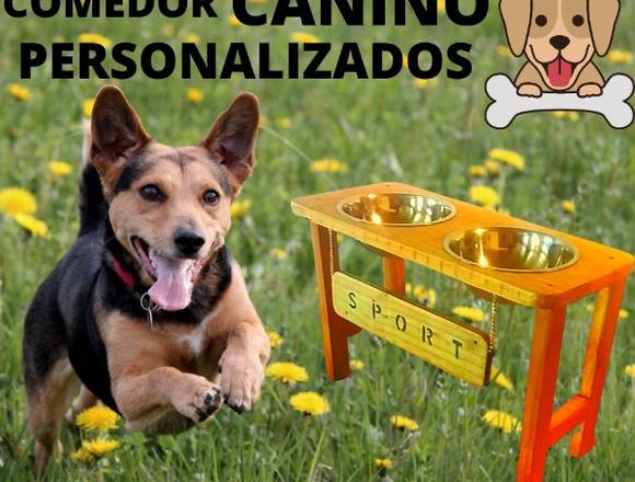 Comedor para perros personalizados en General Lagos (Comuna)