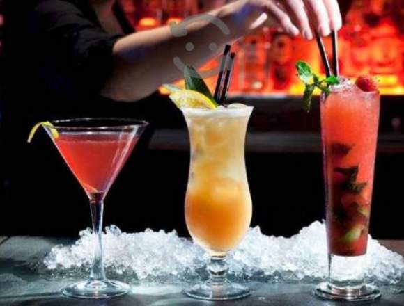 "BARRA LIBRE PARA EVENTOS Y FIESTAS" en Álvaro Obregón (Municipio)