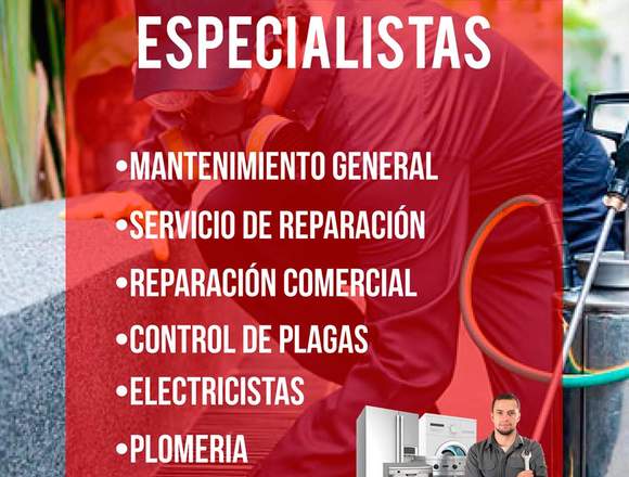 MULTISERVICIOS MEDELLIN