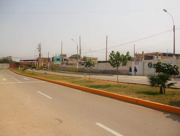 Este Terreno es el Mejor que vas a Encontrar en Santa Anita (Lima 43) (Distrito)