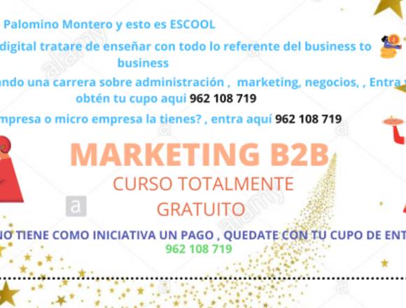 ESCOOL, Curso virtual sobre el Marketing b2b en San Juan de Lurigancho (Lima 36) (Distrito)