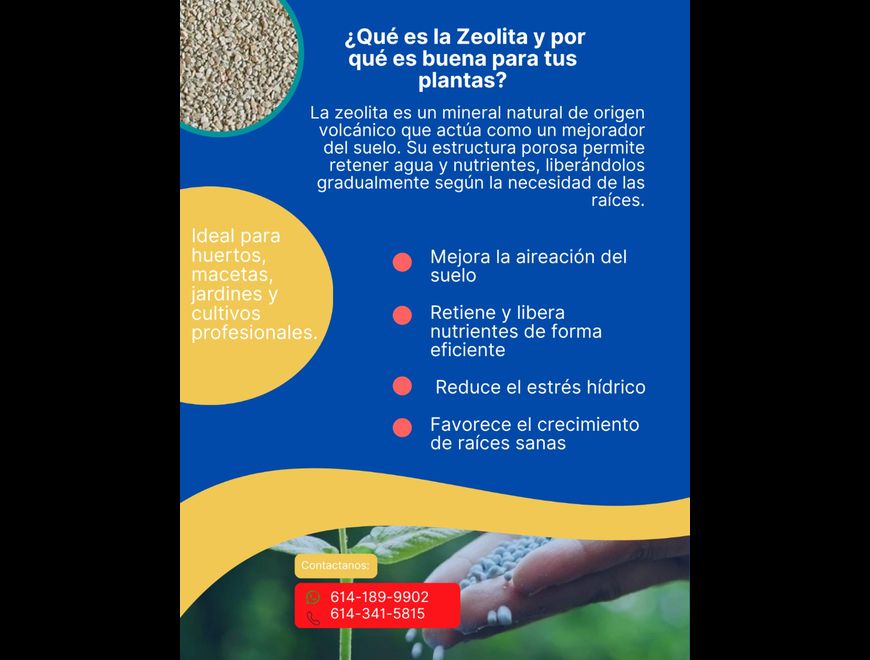 Zeolita –el sustrato inteligente para tus cultivos