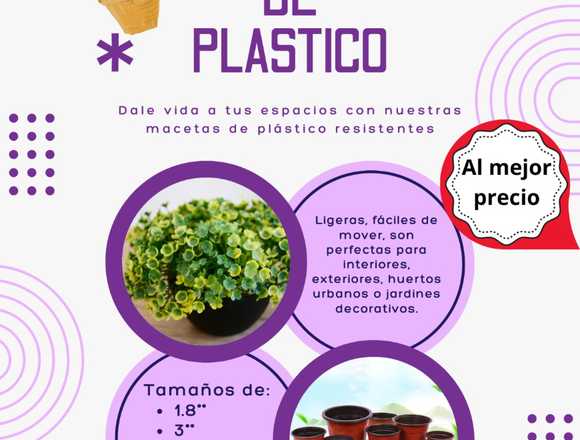 Macetas de plástico – prácticas y resistentes