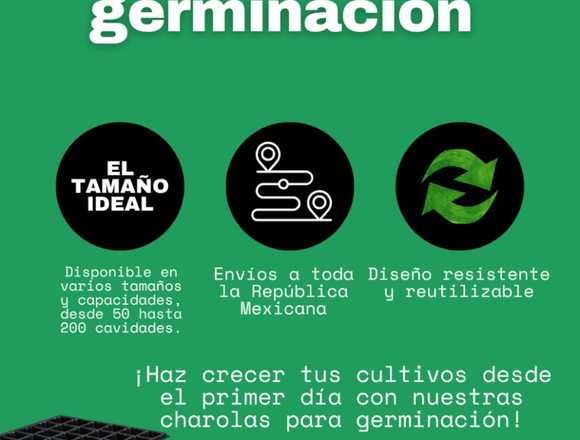 Charolas para germinado- comienza tu cultivo en Chihuahua (Municipio)