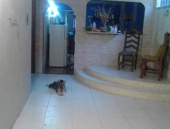 Vendo comoda casa en Urbanismo privado en José Rafael Revenga (Municipio)