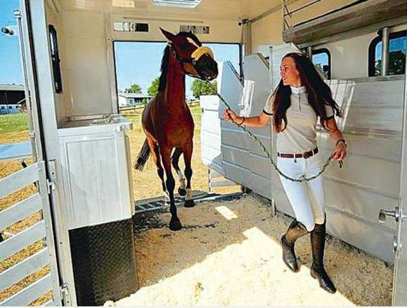 CURSO DE BIENESTAR ANIMAL EN TRANSPORTE en Sevilla (Municipio)