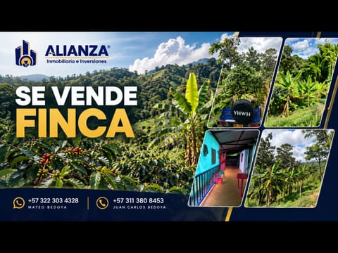 Venta de finca en Sevilla, Vereda Bajo Cominales