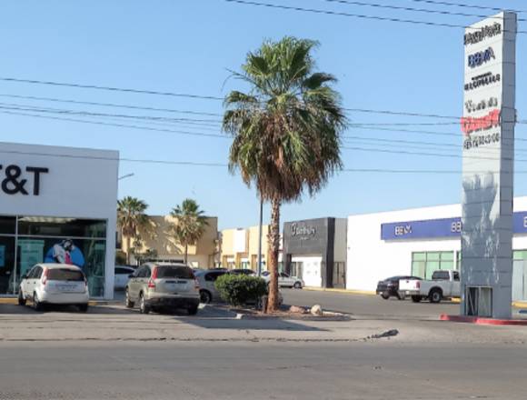 RENTA LOCALES COMERCIALES en Cajeme (Municipio)